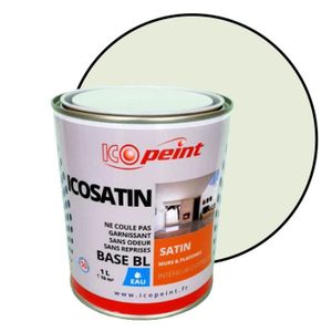 Peinture Satin Acrylique Blanc Achat Vente Pas Cher