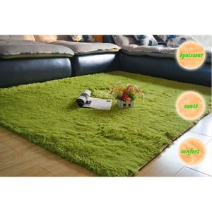 TAPIS Tapis Salon du sol 200×300cm décoration maison pou