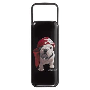KEYOUEST Clé USB Téo Jasmin - Teo Pirate - 16 Go