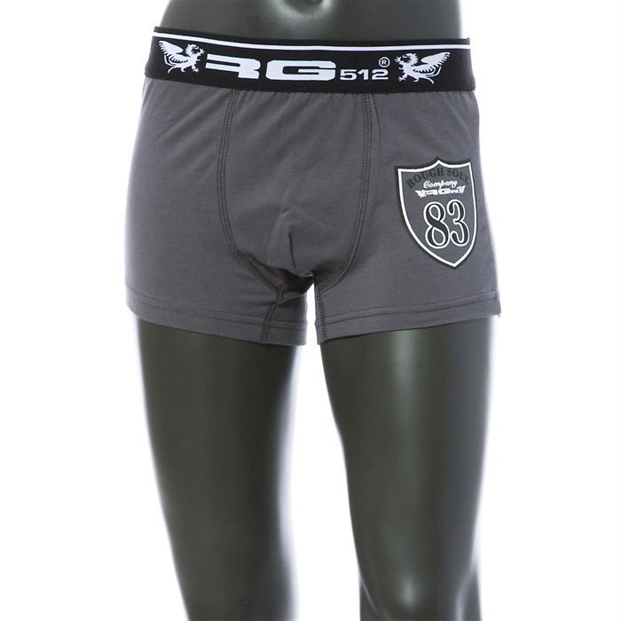 BOXER GARCON RG512 RGH480 E GRIS FONCE GRIS FONCE   Achat / Vente