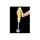 Mixeur plongeant Sencor