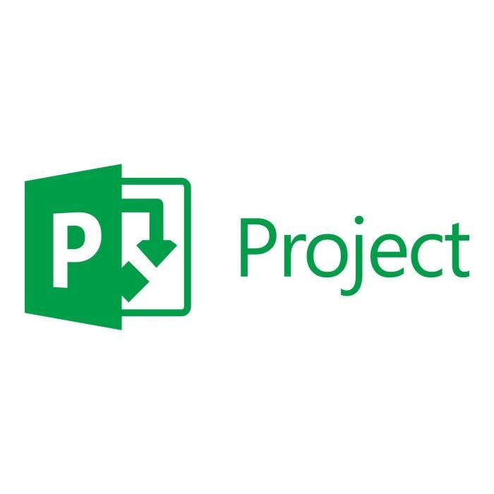 MICROSOFT Project Standard 2019 - Box Pack - 1 PC - Gestion de Projet - Français - PC