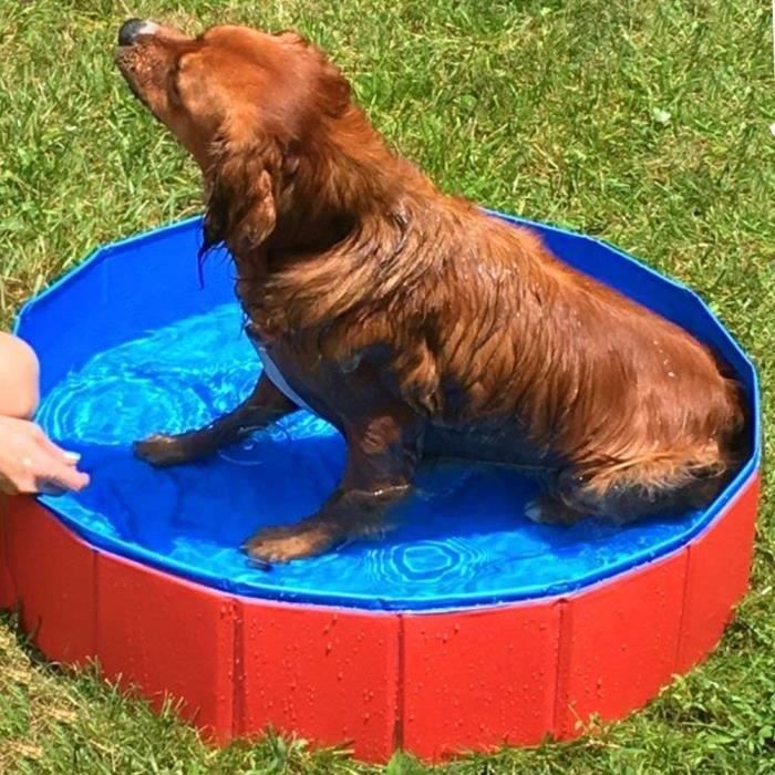 Piscine Grand Chien Pliable Piscine Piscine Chien Chat Animal