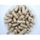 Harpagophytum