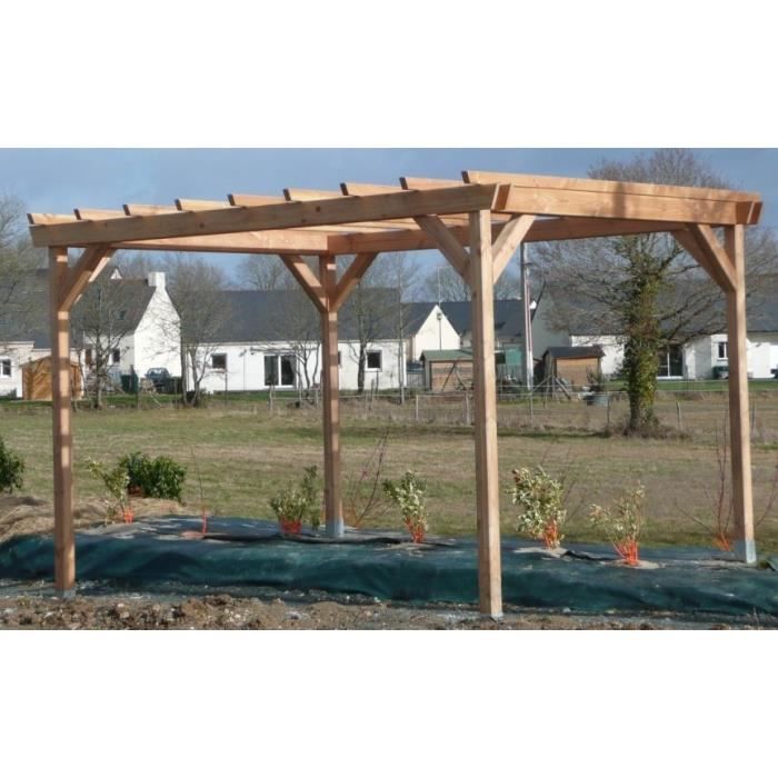 Tonnelle en Douglas de France 9,61m2 - 3x4m