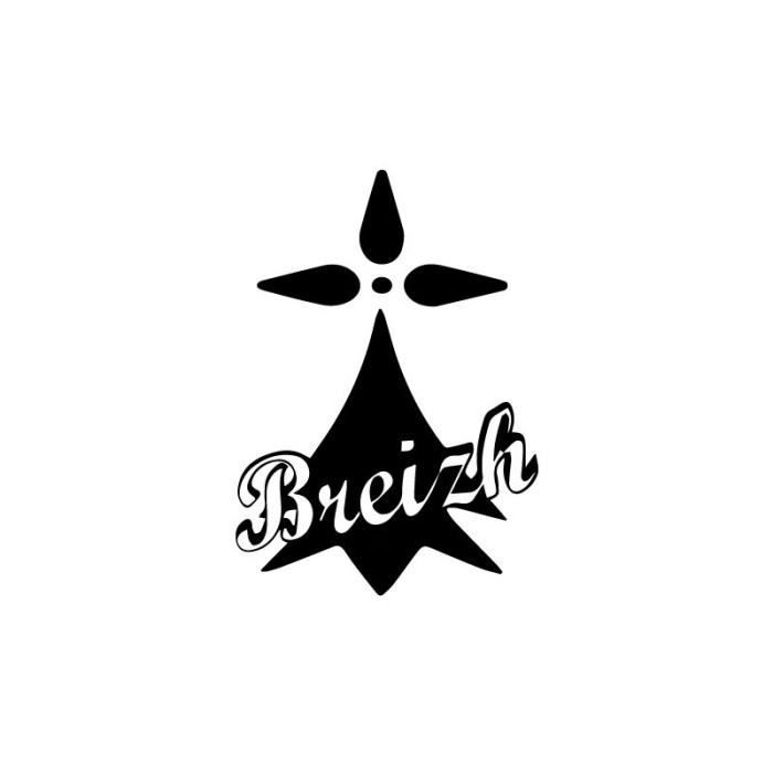 Autocollant Sticker Bebe A Bord Bretagne Breizh Breton Logo 4 12 Cm Ricambi E Accessori Per Auto E Moto Glairco Be