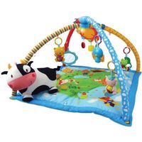 TAPIS ÉVEIL - AIRE BÉBÉ VTECH Lumi tapis des p'tits copains Bleu TAPIS ÉVEIL - AIRE BÉBÉ VTECH Lumi tapis des p'tits copains Bleu
