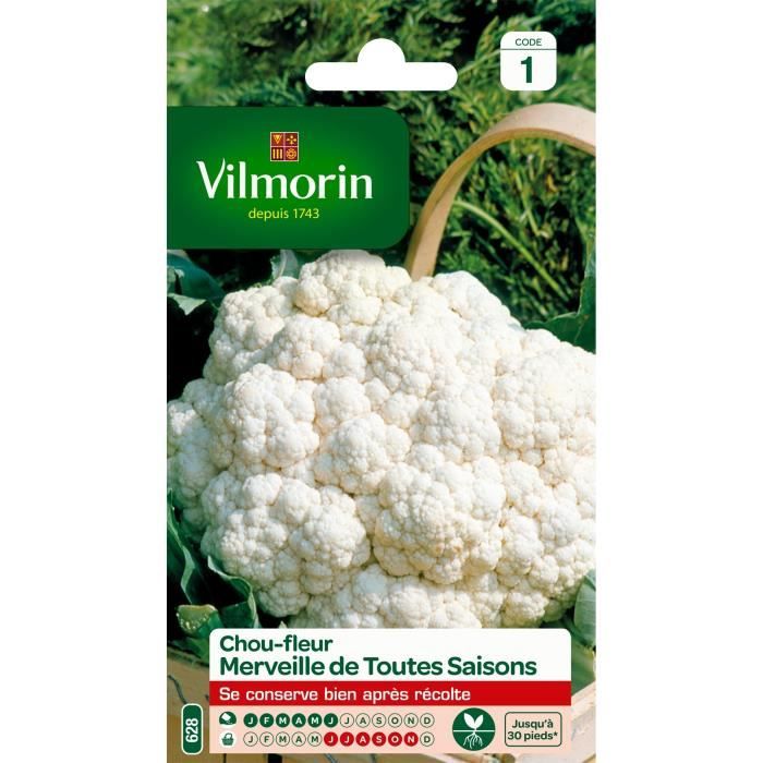 VILMORIN Chou fleur Merveille de toutes saisons