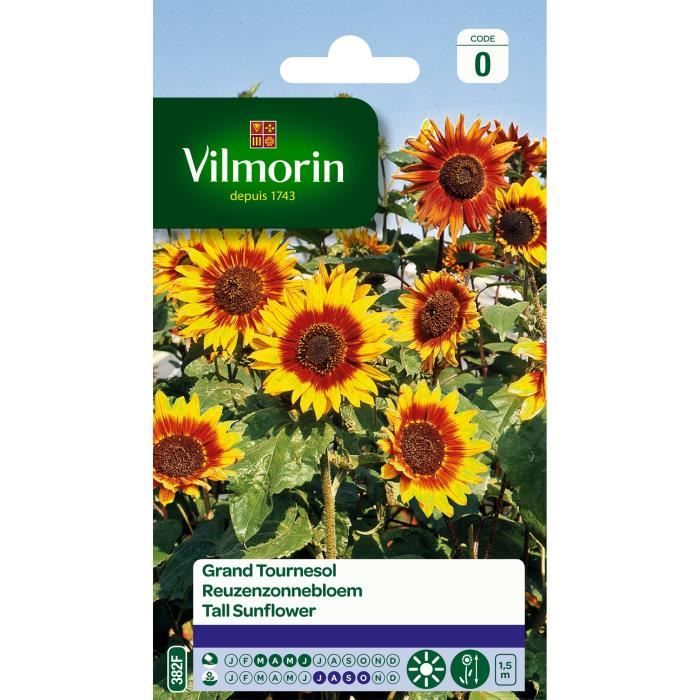 grand tournesol graines en sachet vilmorin