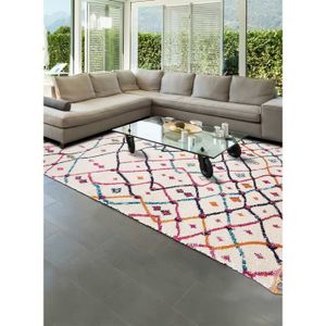 TAPIS Tapis de salon de qualité inspi berbère OURIKA MK 