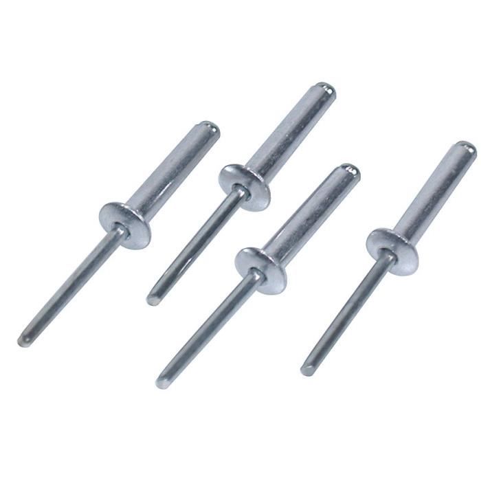 AB TECH Lot De 4 Rivets Multiusage Grande Taille Diam 24 Longueur 48mm