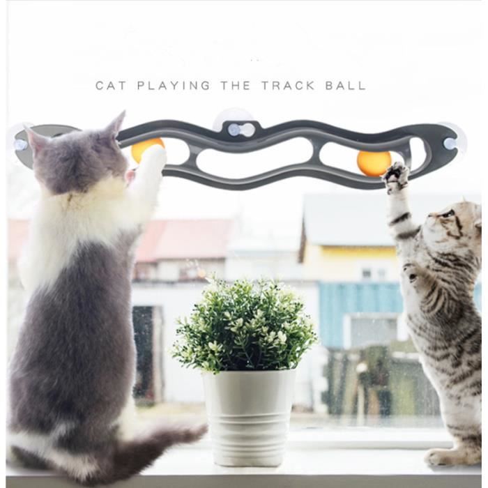 cat-ball-track-le-jouet-a-ventouse-incurvee-chat.jpg