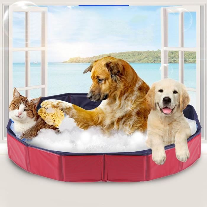 Bassin Piscine Baignoire Pour Chien Pliable Anti Glissant Plastique