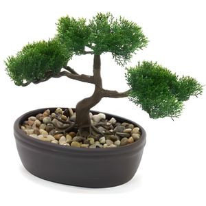  Pot bonsai Achat  Vente pas cher