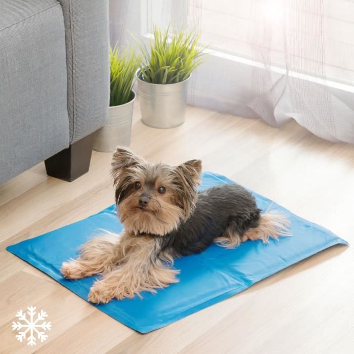 INNOVAGOODS Tapis de refroidissement - 40 x 50 cm - Pour chien