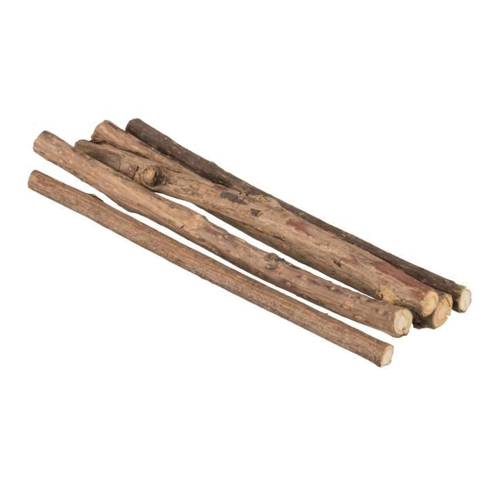 TRIXIE Sticks à mâcher Matatabi - 10g - Pour chat