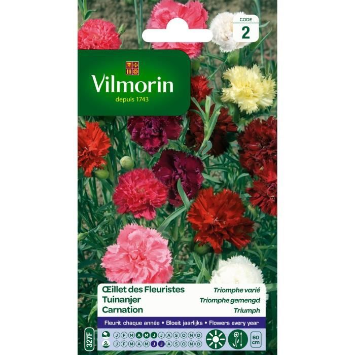 VILMORIN Œillet des fleuristes Triomphe varié