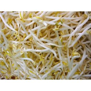 Graine De Soja - 