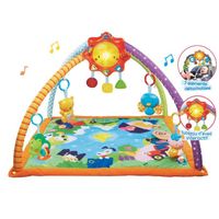 TAPIS ÉVEIL - AIRE BÉBÉ VTECH Centre D'Eveil Cache Cache TAPIS ÉVEIL - AIRE BÉBÉ VTECH Centre D'Eveil Cache Cache