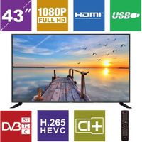 Téléviseur LED HKC 43F6 43 pouces Full HD TV Téléviseur LED HKC 43F6 43 pouces Full HD TV