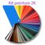 Kit Peinture 2k 3l Renault 489 Bleu Myosotis Atlantic Blue 19962004