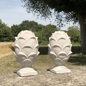 Pomme De Pin Terre Achat Vente Pas Cher