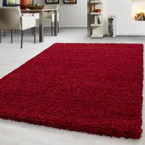 TAPIS Tapis shaggy pour salon, salle à manger, chambre d