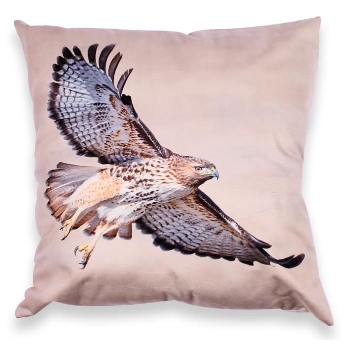SOLEIL D'OCRE Coussin déco déhoussable AIGLE 45x45 cm - Marron et noir