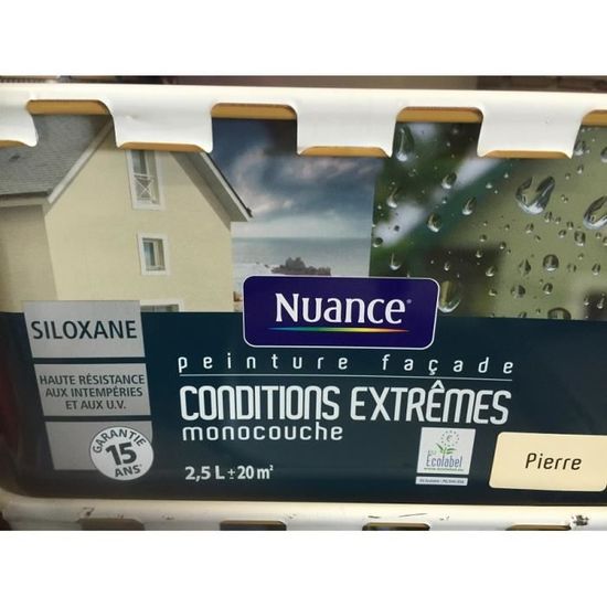 Peinture Facade Siloxane 25l Ton Pierre Monocouche Achat Vente