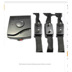 cloture electrique w-227