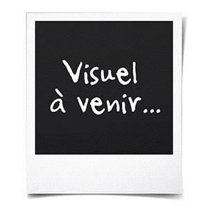Dark Parables (12) Le Voleur et la Boîte d'Amadou Jeu PC