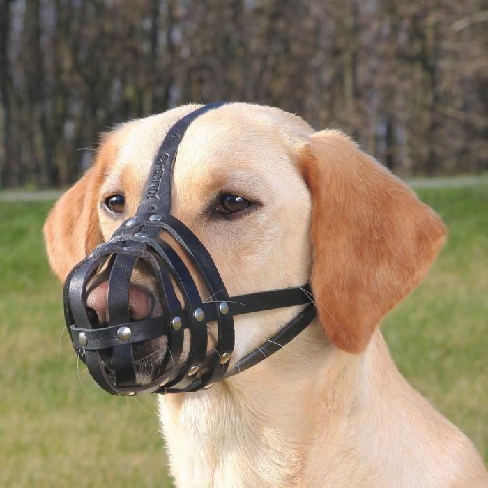 TRIXIE Muselière Julius-K9 - Peau de buffle - 34cm - Noir - Pour chien