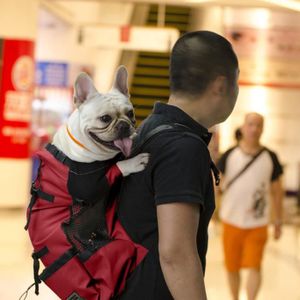 porte bébé pour chien