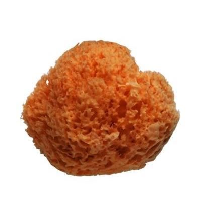 GERSON Éponge naturelle non traitée - Bébé - D 8 cm