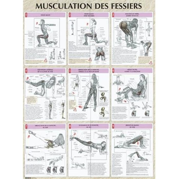 Musculation Des Fessiers - 