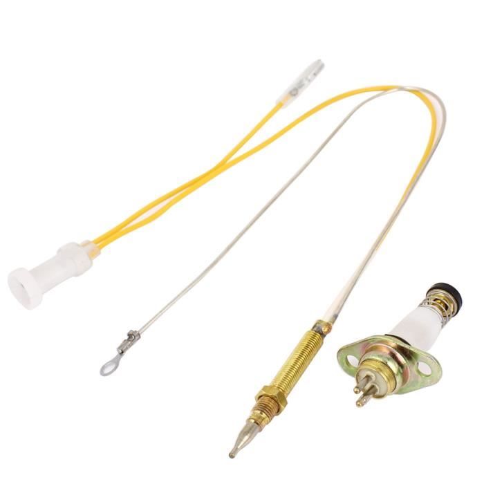 CAPTEUR DE TEMPERATURE Double Fin Charbon Four2