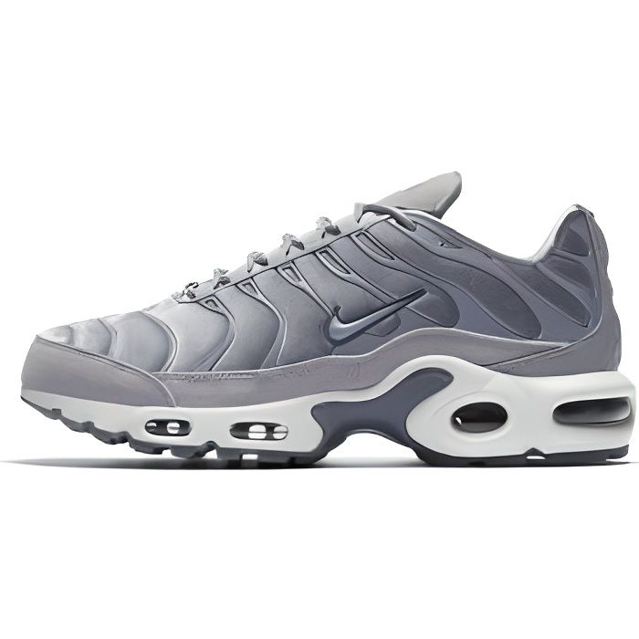 nike air max plus femme grise nike air max plus femme grise