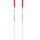 Bâtons ski alpin femme Swix Techlite Performance A