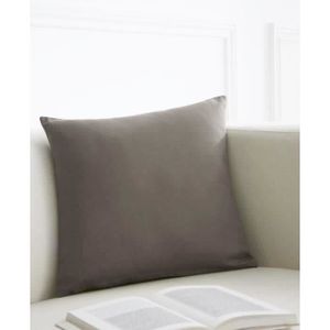 TODAY Coussin déhoussable 100% coton 40x40cm Mastic