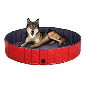 piscine tubulaire et chien