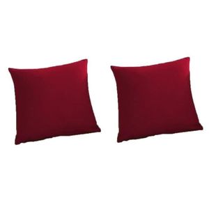 TODAY Lot de 2 coussins déhoussables 100% coton 40x40 cm pomme d'amour