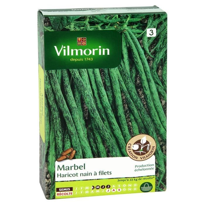 VILMORIN Haricot Marbel Sachet de graines - Création Vilmorin