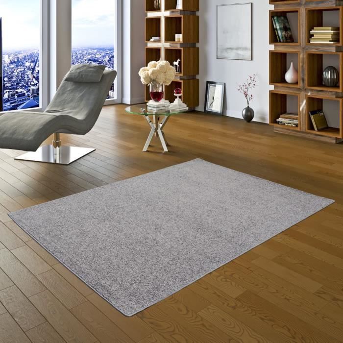 Design Velours Shaggy Poil Long Tapis Poils Longs Lune Gris