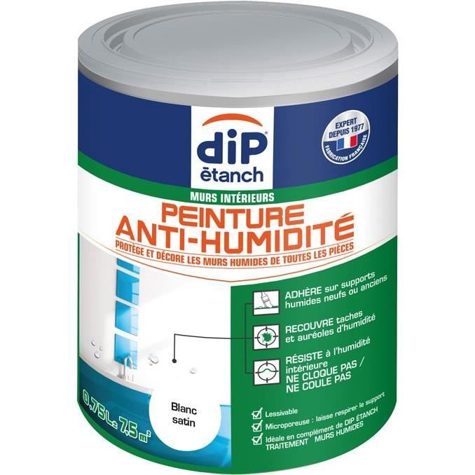 Peinture Anti Humidité 075l Blanc Achat Vente Peinture Vernis