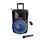 Enceinte amplifiee autonome