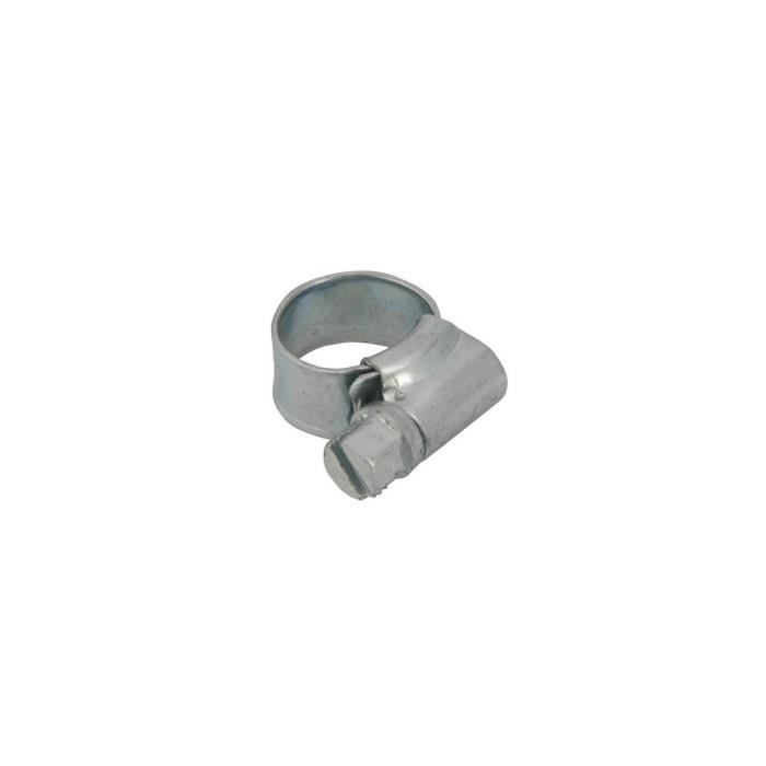 FIXMAN Lot de 10 colliers de serrage