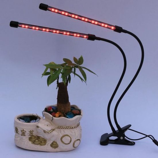 Comment voulez-vous brancher une lumière de timingméthodes de datation absolue en archéologie