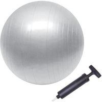 BALLON SUISSE-GYM BALL BODY ONE Ballon de gym 75cm BALLON SUISSE-GYM BALL BODY ONE Ballon de gym 75cm