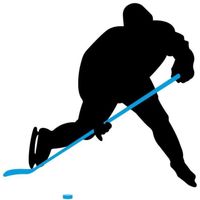 CROSSE DE HOCKEY NIJDAM Crosse de hockey sur glace 155 cm - Gauche CROSSE DE HOCKEY NIJDAM Crosse de hockey sur glace 155 cm - Gauche