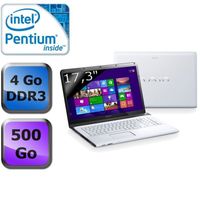 ORDINATEUR PORTABLE SONY VAIO SVE1713K4EW ORDINATEUR PORTABLE SONY VAIO SVE1713K4EW